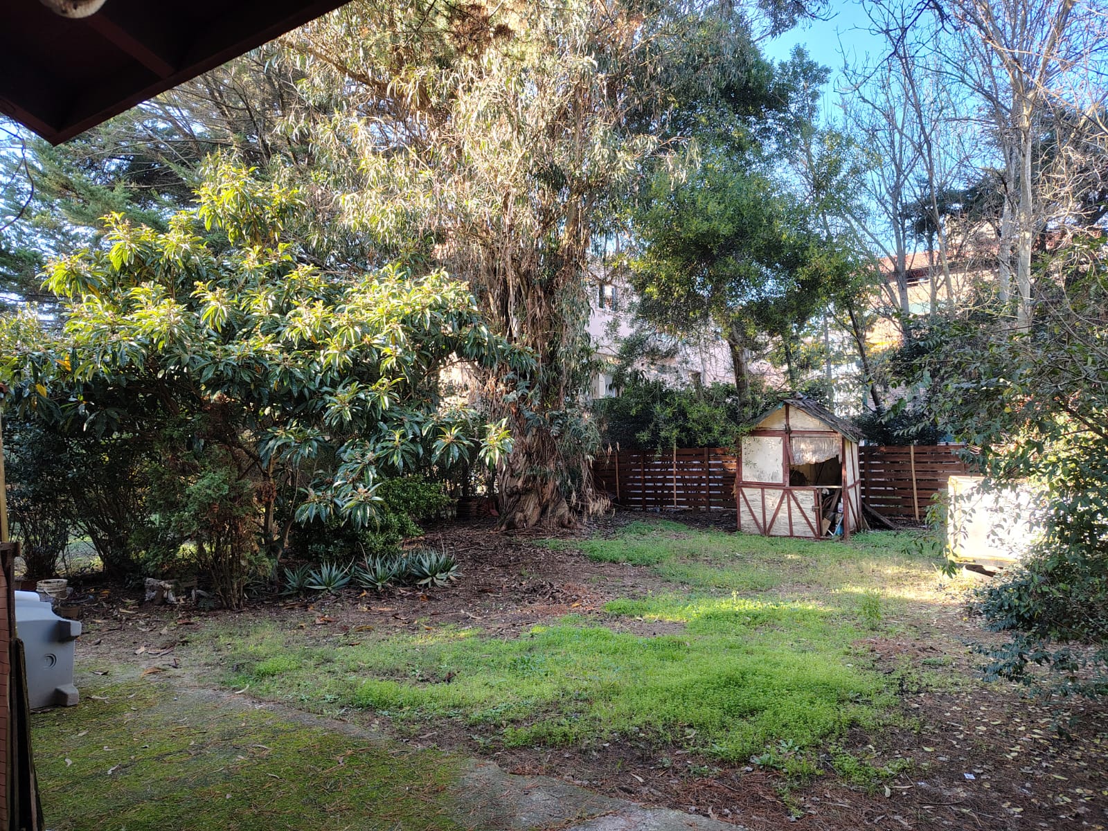 WhatsApp Image 2025-07-19 at 10.38.43.jpeg